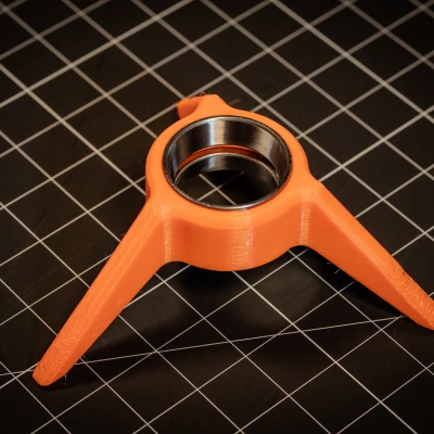 Susan Đứng Tự Do