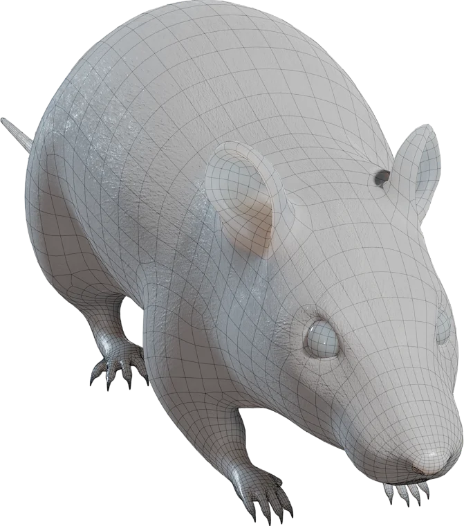 Chuột đường phố "Street rat"