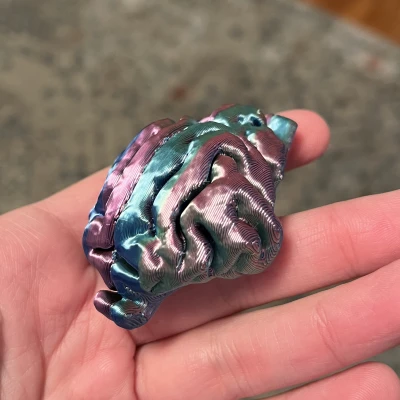 Hũ Tiền Hình Bộ Não Mèo Độc Đáo