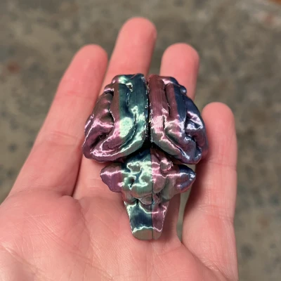 Hũ Tiền Hình Bộ Não Mèo Độc Đáo