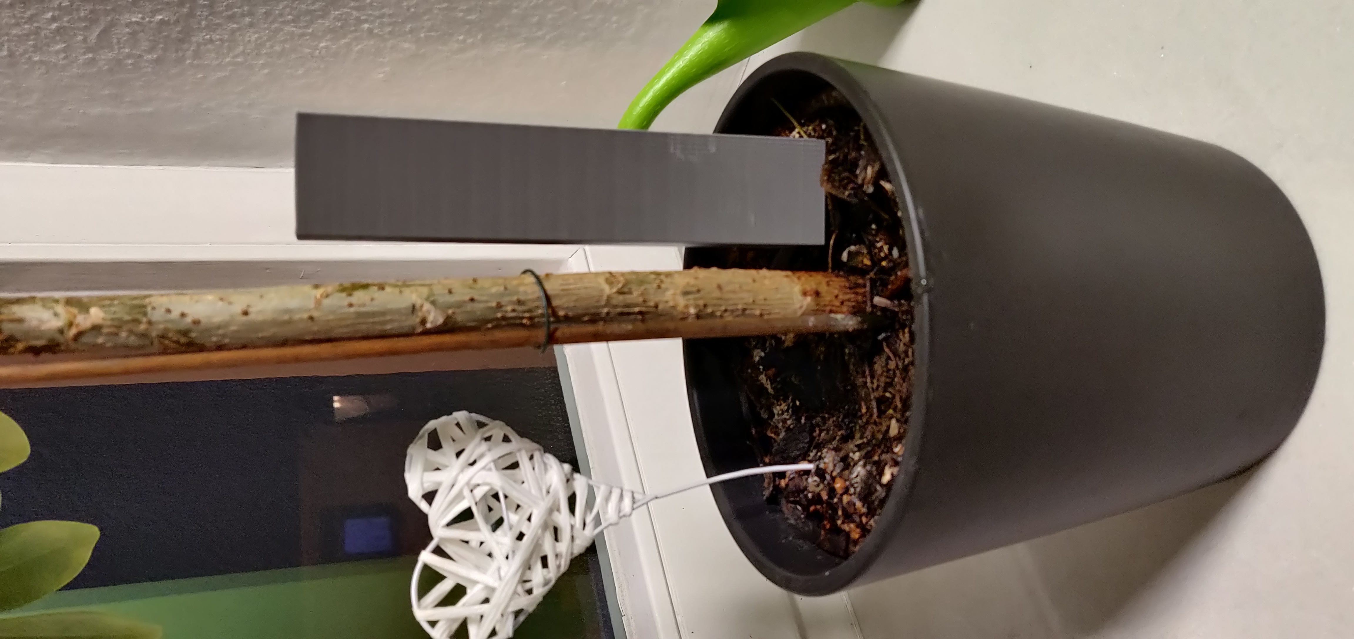 Bình nước tưới cây cảnh trong nhà