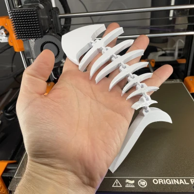 Xương Cá Khớp Nối