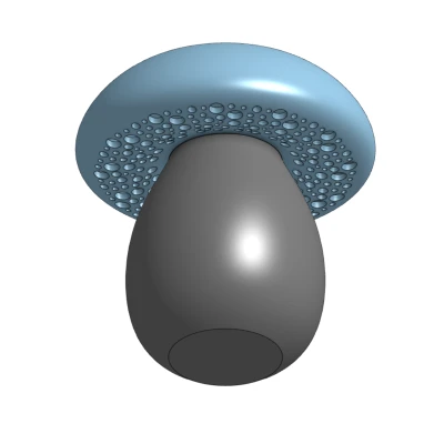 Nấm Thông Rỗng Có Ren