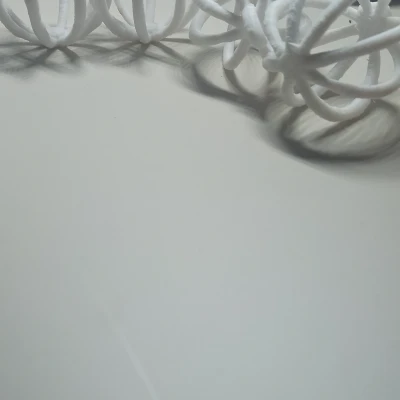 Trái châu Giáng Sinh