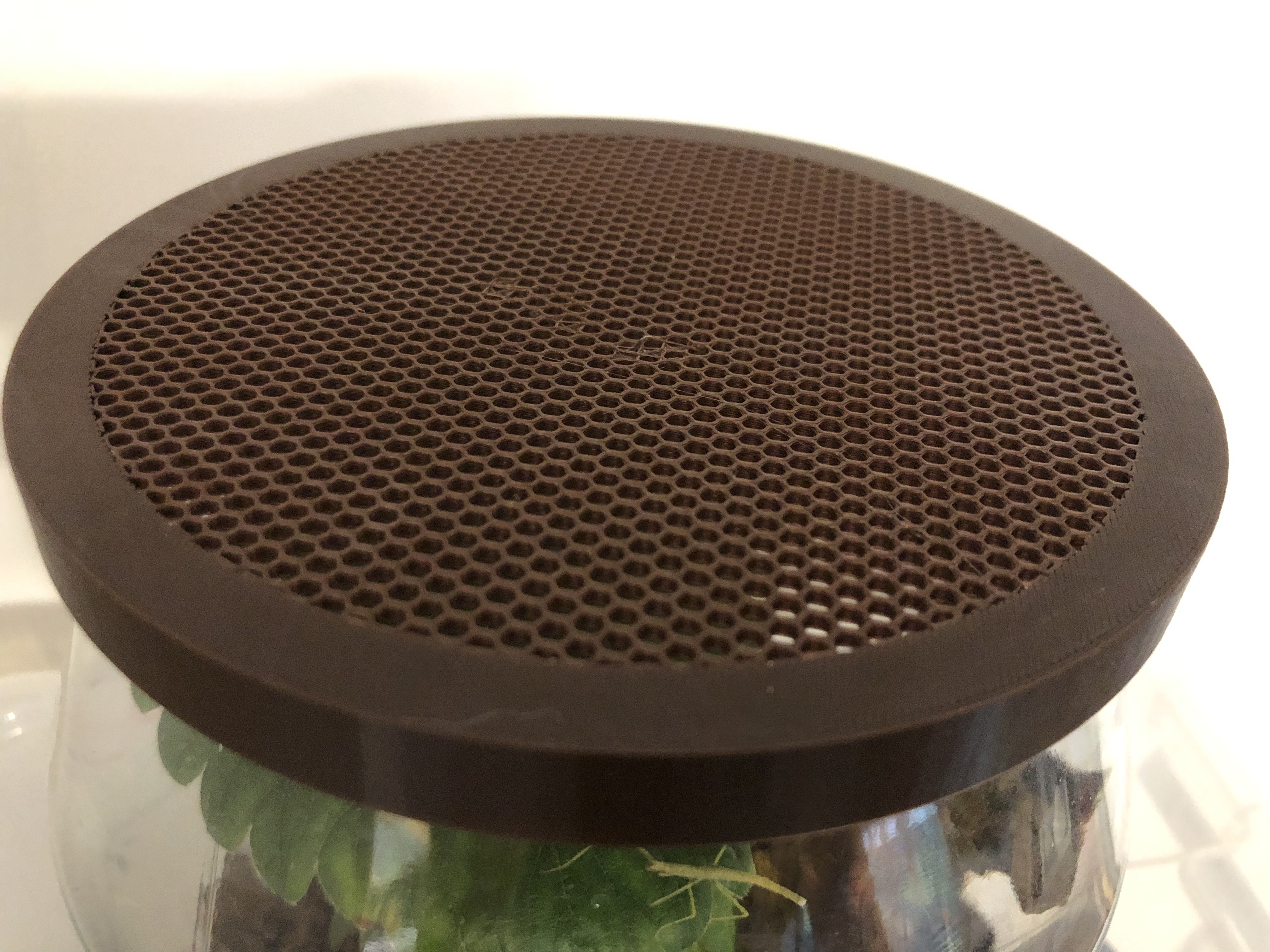 Nắp Hộp IKEA 365 - Tiểu Cảnh