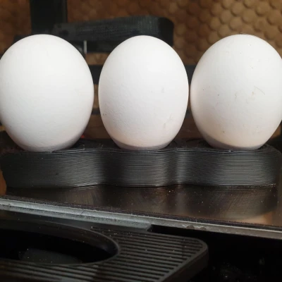 Khuôn Cầm Trứng