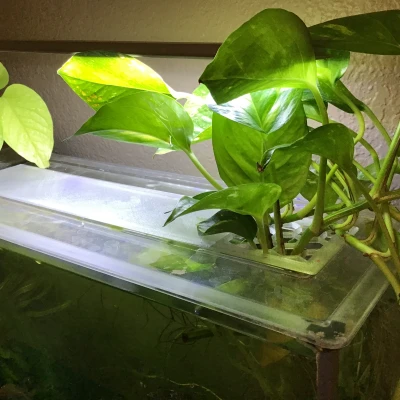 Nắp hồ Fluval Spec V