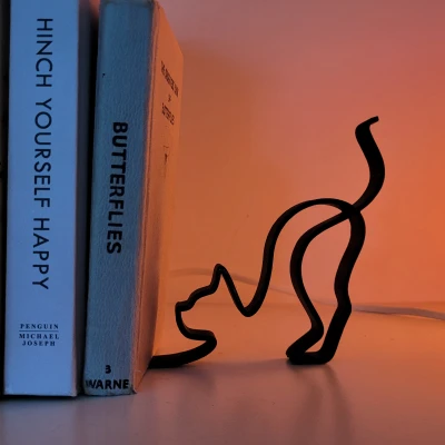 Kệ Sách Mèo Tối Giản Siêu Nhẹ