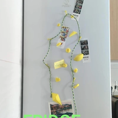 Nam Châm Tủ Lạnh Leo Tường