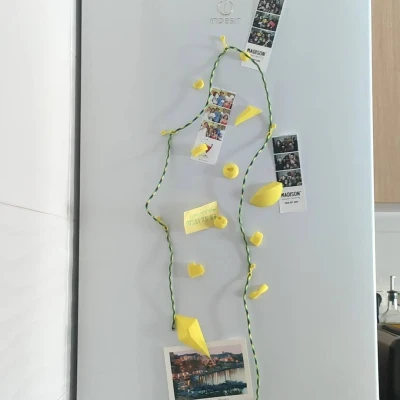 Nam Châm Tủ Lạnh Leo Tường