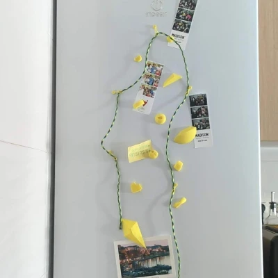 Nam Châm Tủ Lạnh Leo Tường