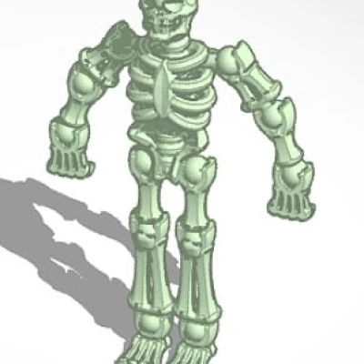 Mô hình bộ xương