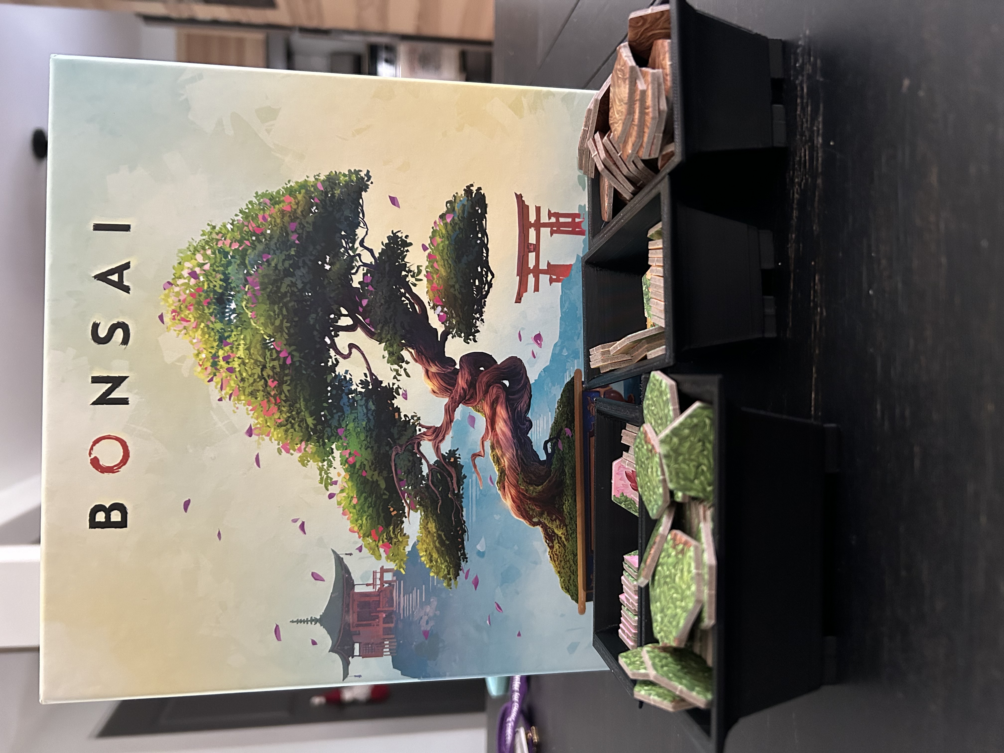 Kệ Đựng Token Bonsai