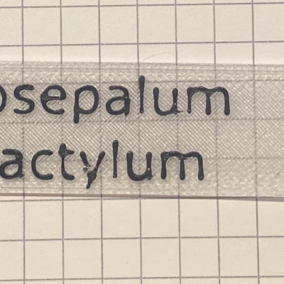 Bảng Tên Cây / Plant Label