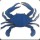 Crab