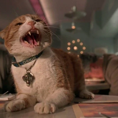 Dải Ngân Hà Trên Thắt Lưng Orion