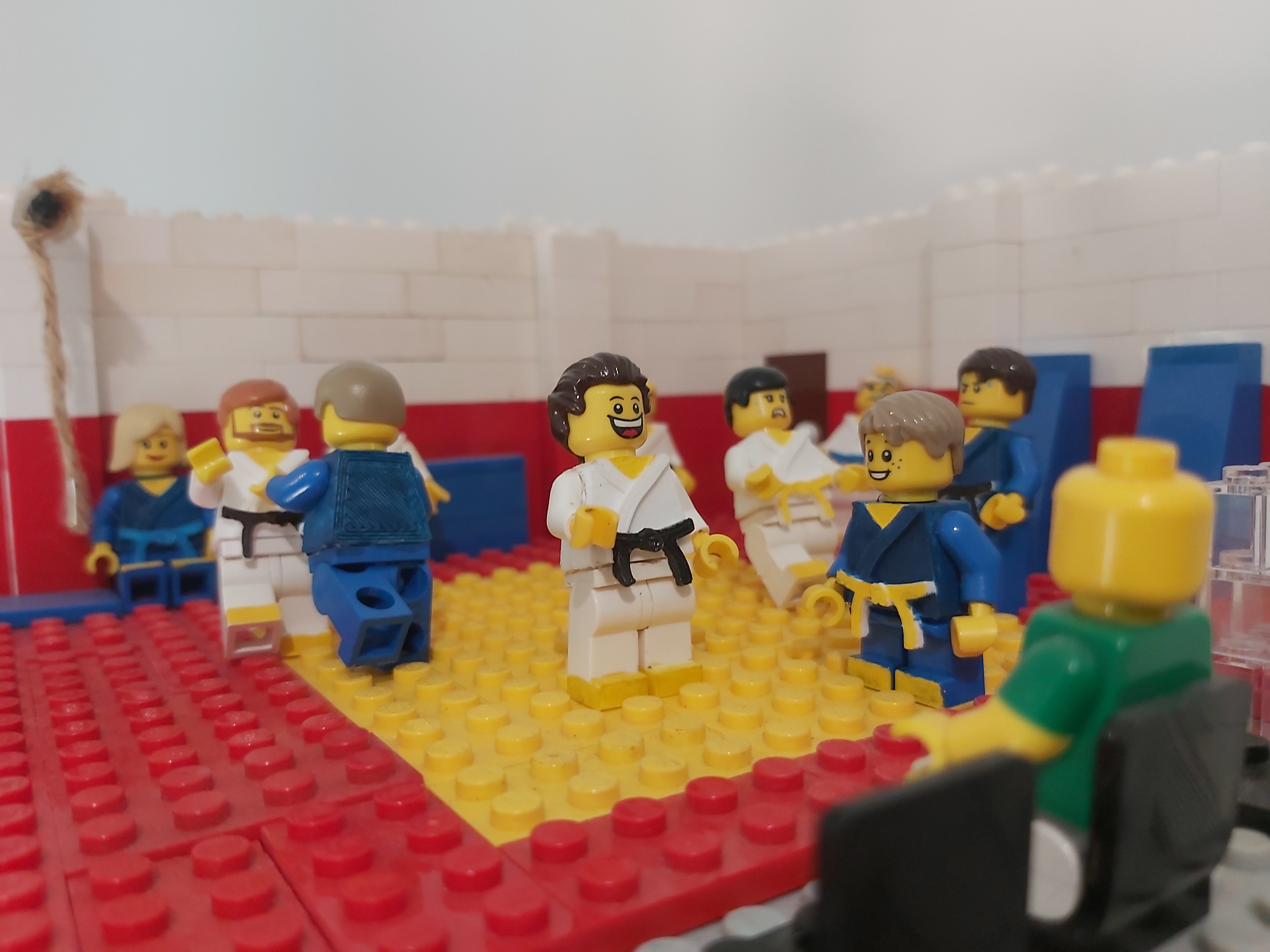Thân Hình Lego Võ Thuật Lego Judo