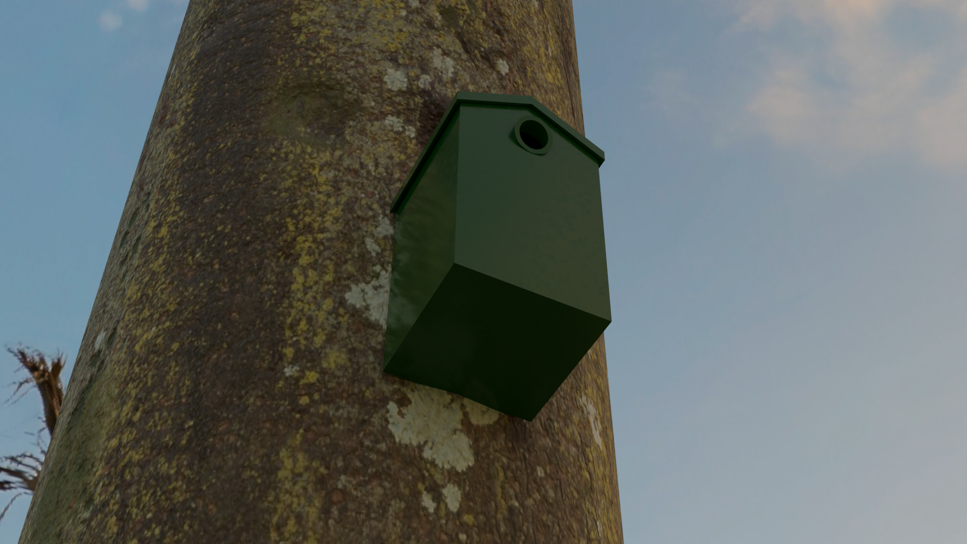 Nhà chim (kích thước tiêu chuẩn)