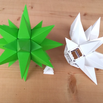Ngôi sao Giáng sinh Weihnachstsstern (Christmas star) module