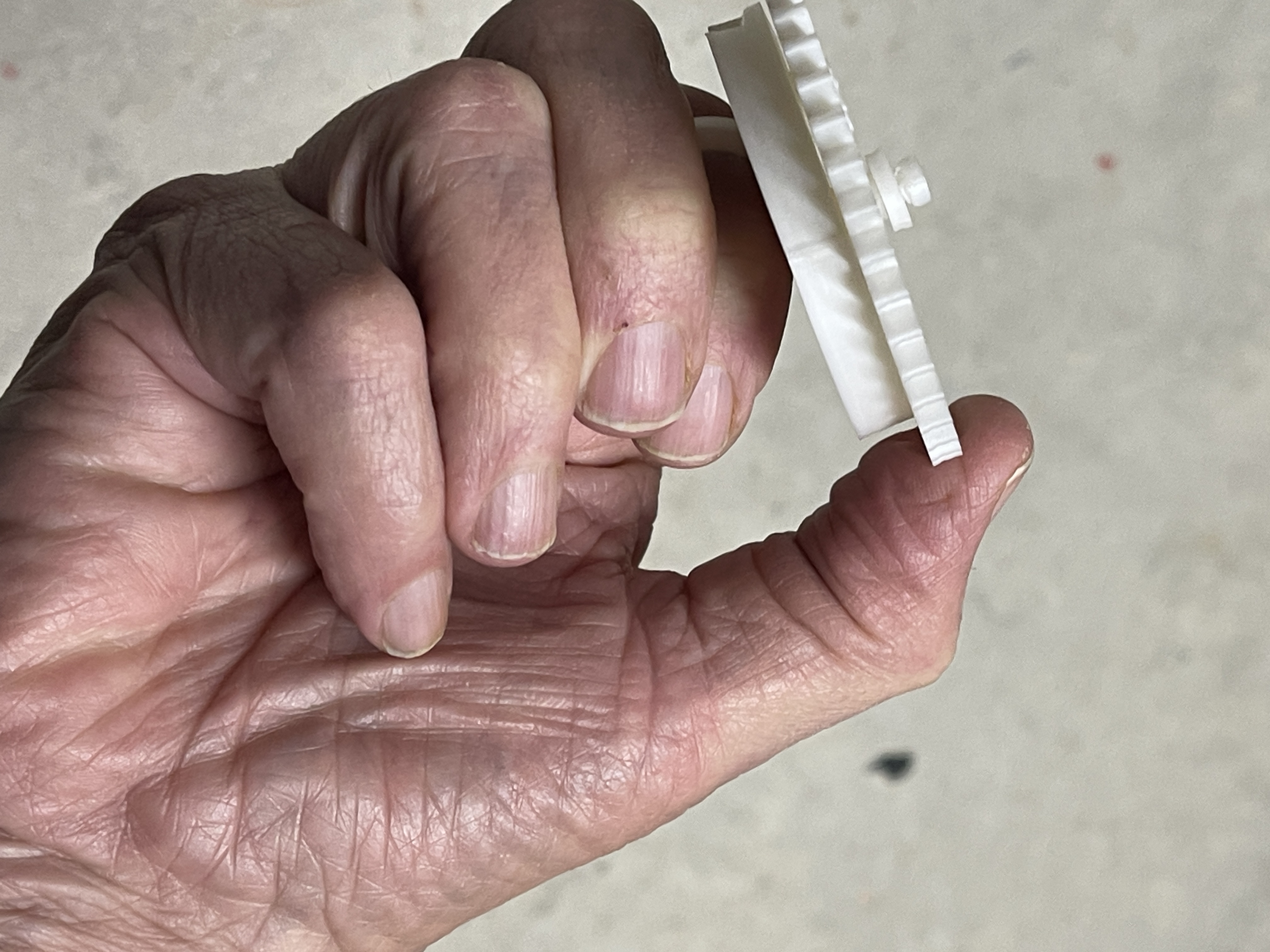 Đồ chơi Fidget Bánh Răng (2 Bánh Răng)