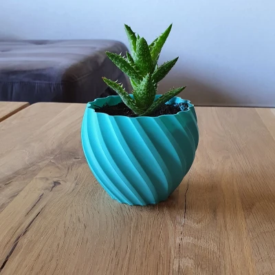 Lọ Hoa Xoắn (Vase Torsadé)