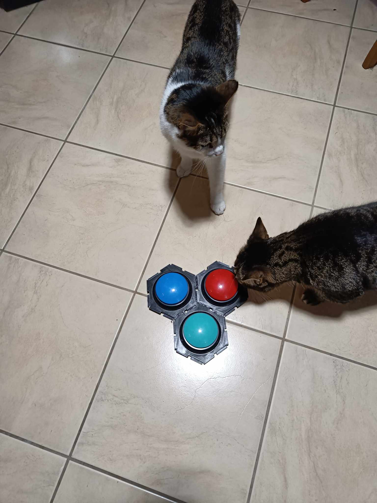 Hộp đựng nút bấm hình lục giác cho chó/mèo biết nói