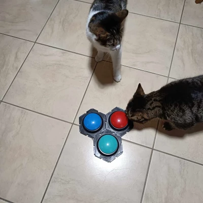 Hộp đựng nút bấm hình lục giác cho chó/mèo biết nói