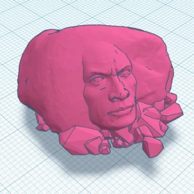 The Rock Rock Croc - The Rock Trong Đá Cho Cá Sấu