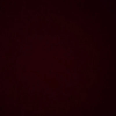 Ngôi Sao Đón Tết 2024!