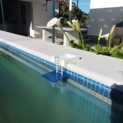 Cầu Thang Lizzard - Giải Cứu Động Vật Nhỏ