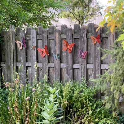 Mô Hình Bướm 3D Đẹp Tuyệt Vời