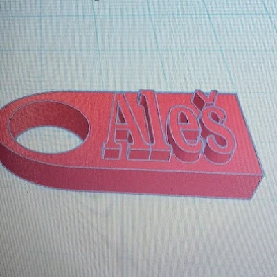 Mẫu Bảng Tên 'Jmenovka'