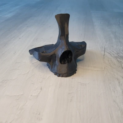 Kệ Kính Mắt Hình Đầu Lâu