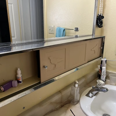 Cửa Tủ Thuốc Cỡ Lớn Có Tay Nắm Trượt Hình Con Quạ