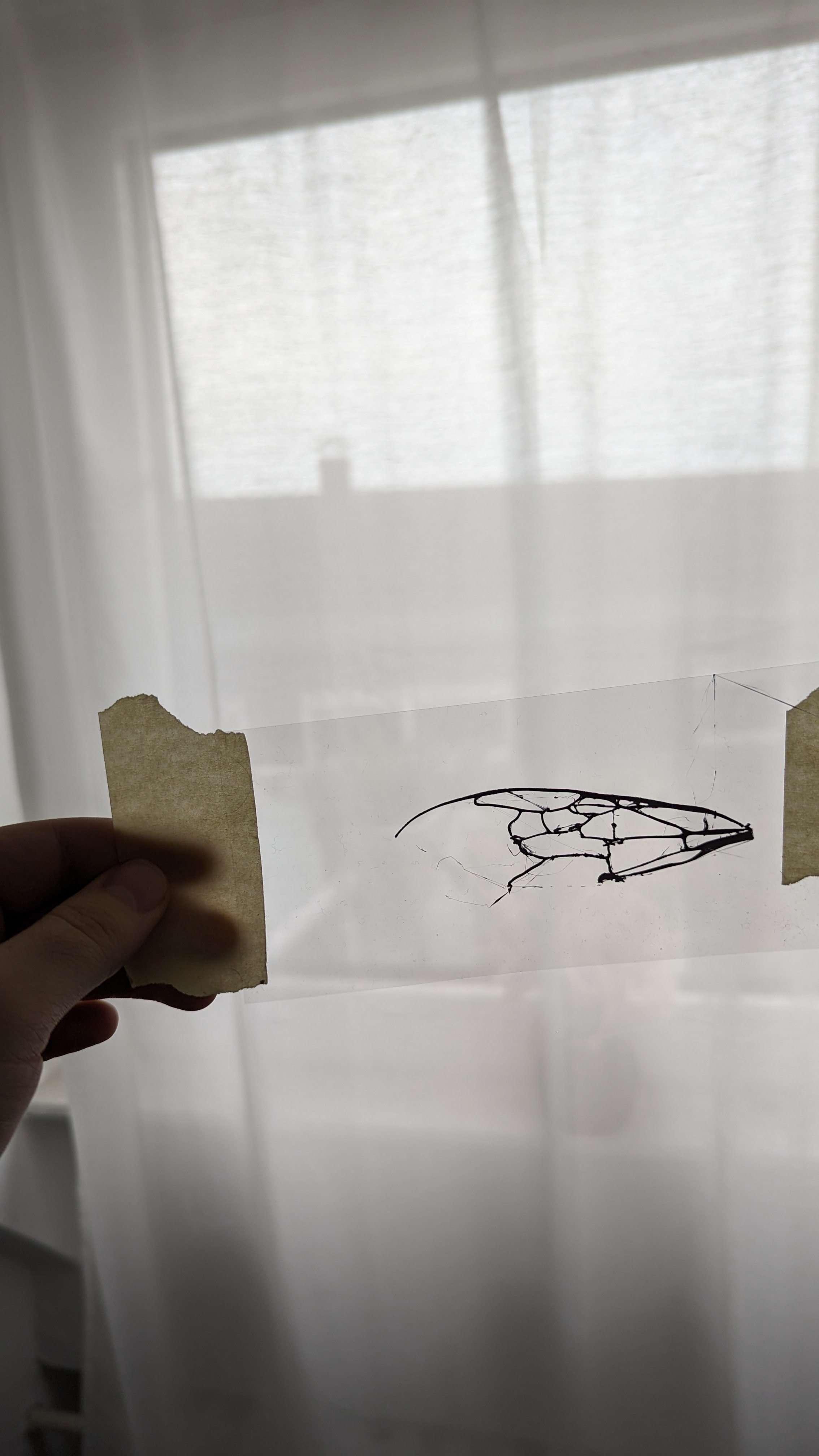 Bionic Bumblebee Wing cho Mavs