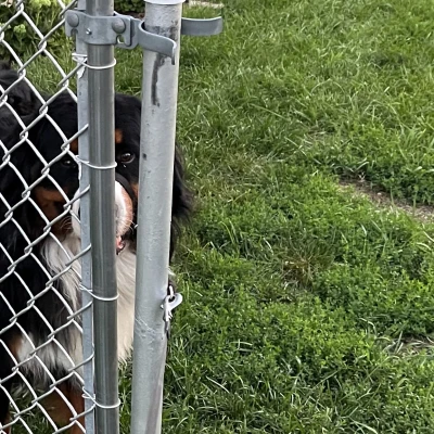 Hàng rào/Gate Post Bushing