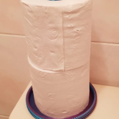 KHAY ĐỰNG GIẤY VỆ SINH TP HOLDER