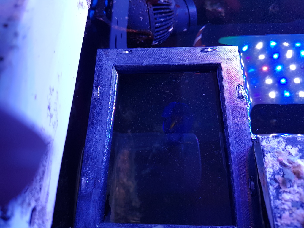 Vòng cho cá ăn bể thủy sinh Nam châm Neodym