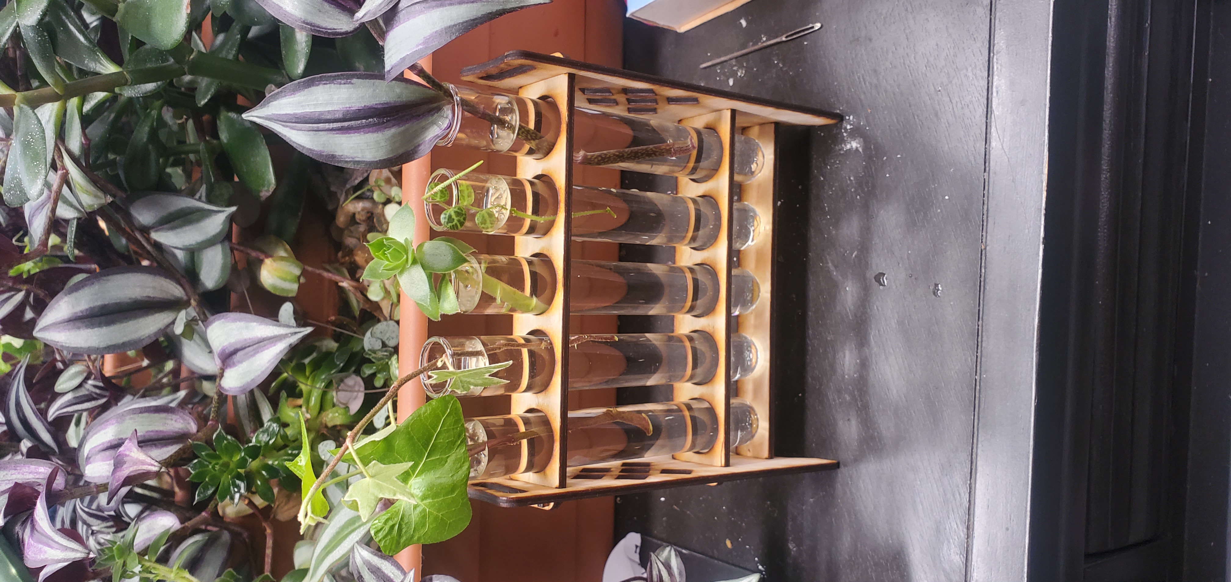 Giá đỡ ống nghiệm trạm nhân giống cây trồng cắt bằng laser