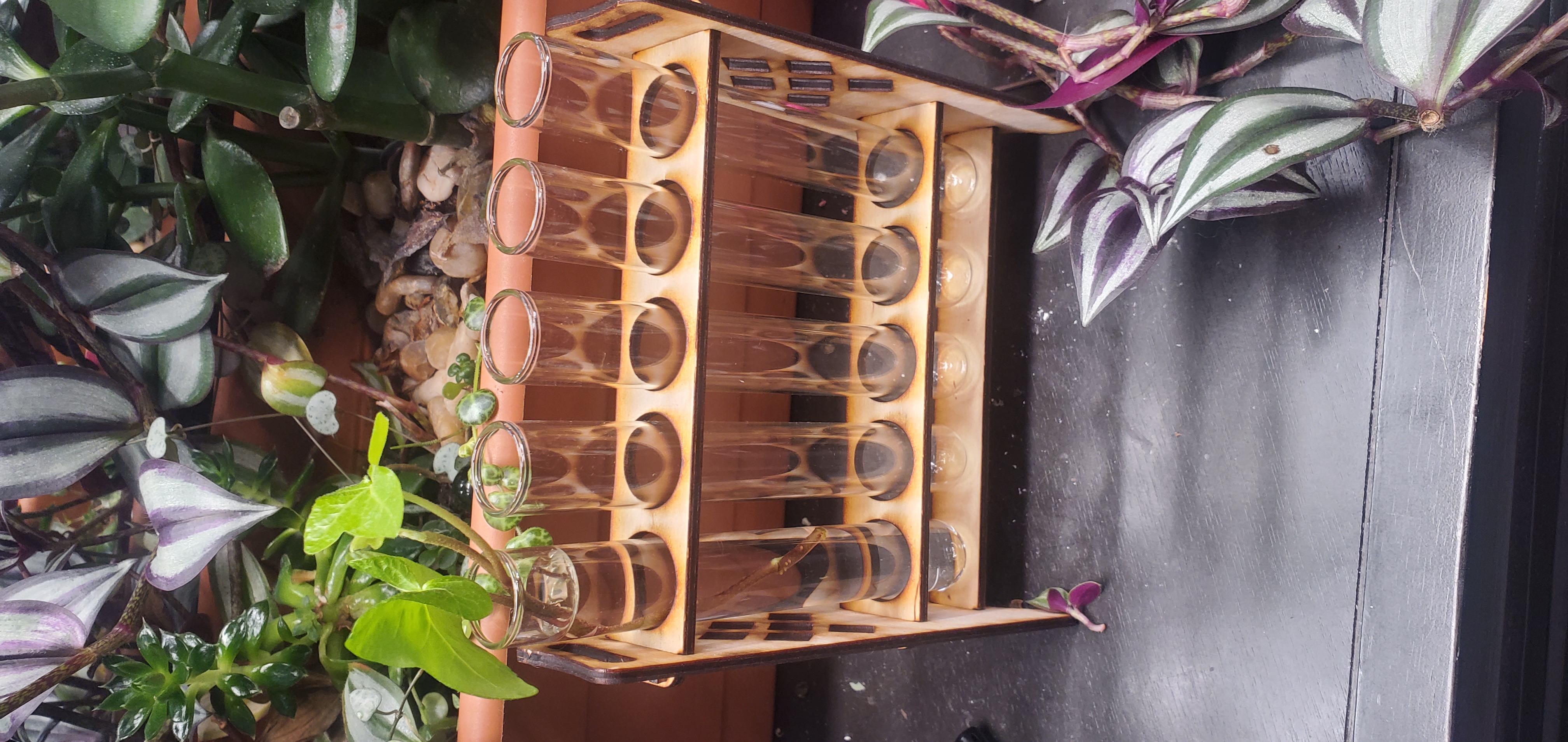 Giá đỡ ống nghiệm trạm nhân giống cây trồng cắt bằng laser