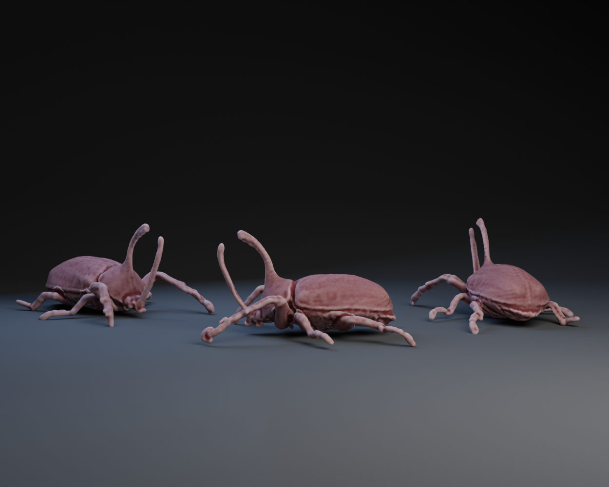 Mô hình 3D Bọ cánh cứng Tê giác