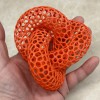 VoroKnot - Mô Hình Trang Trí Hiệu Ứng Voronoi - Thumbnail 1