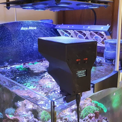 Máy cho cá ăn kết nối mạng