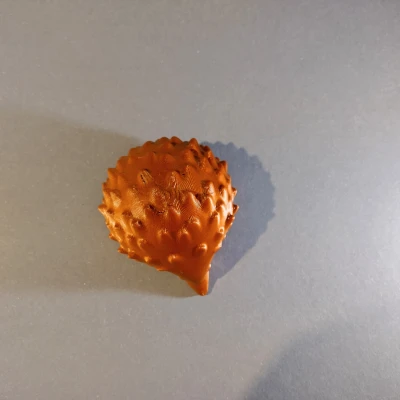 Nhím Nhỏ Dễ Thương