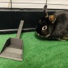 Muỗng Xẻng Dọn Chuồng Thỏ / Rabbit Scoop - Thumbnail 1