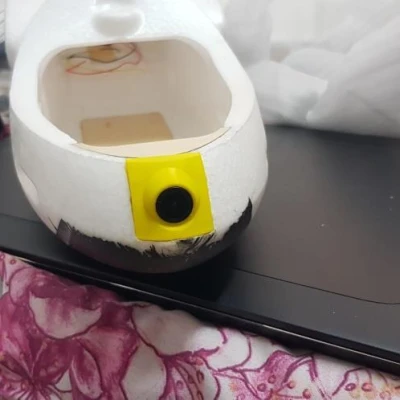 Các Bộ Phận Của Chim Alba