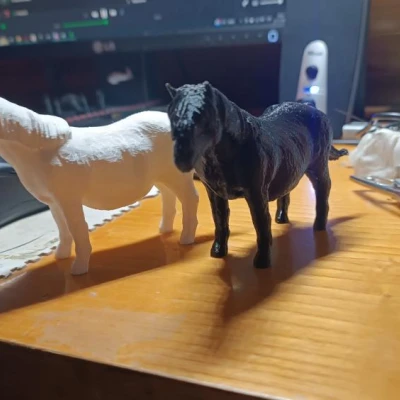 Mô hình ngựa pony