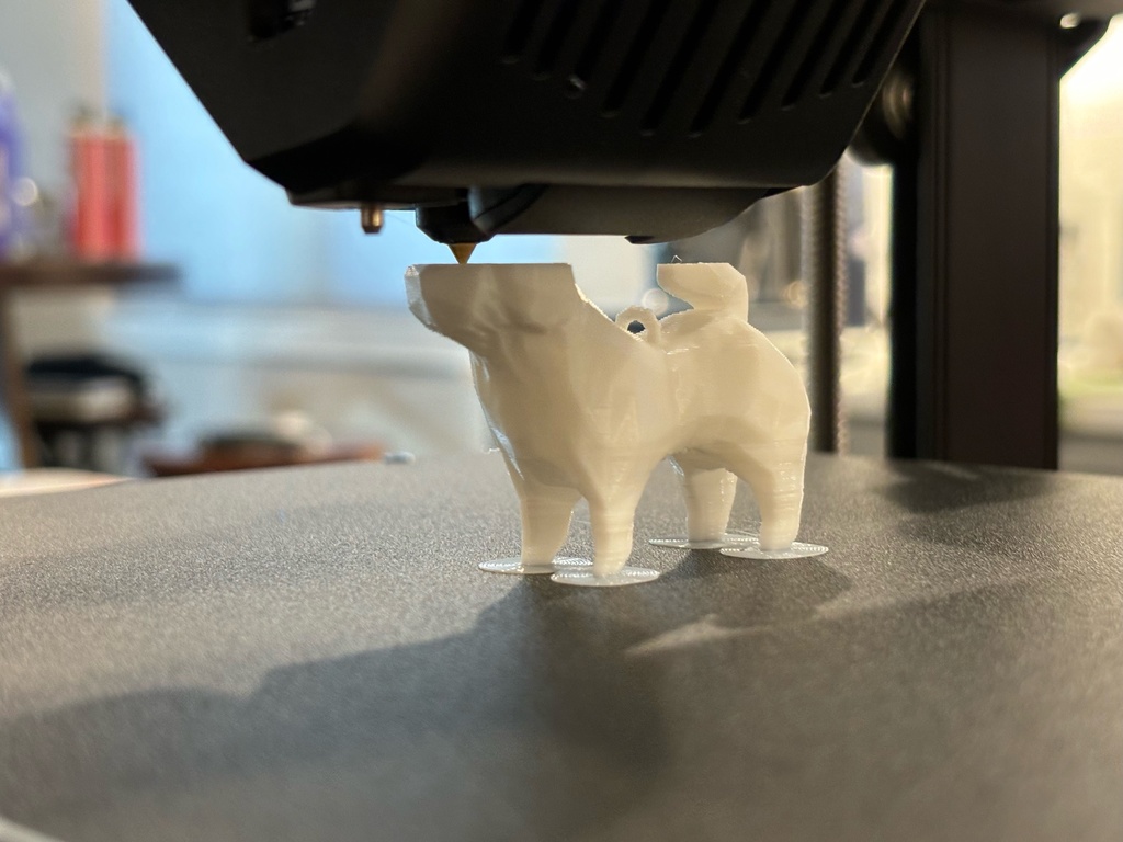 Trang Trí Chó Shih-Tzu