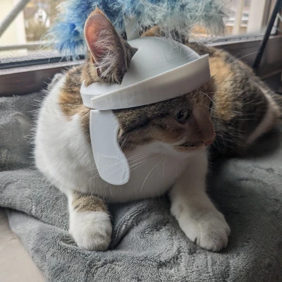 Mũ bảo hiểm mèo La Mã