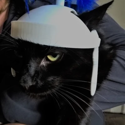 Mũ bảo hiểm mèo La Mã